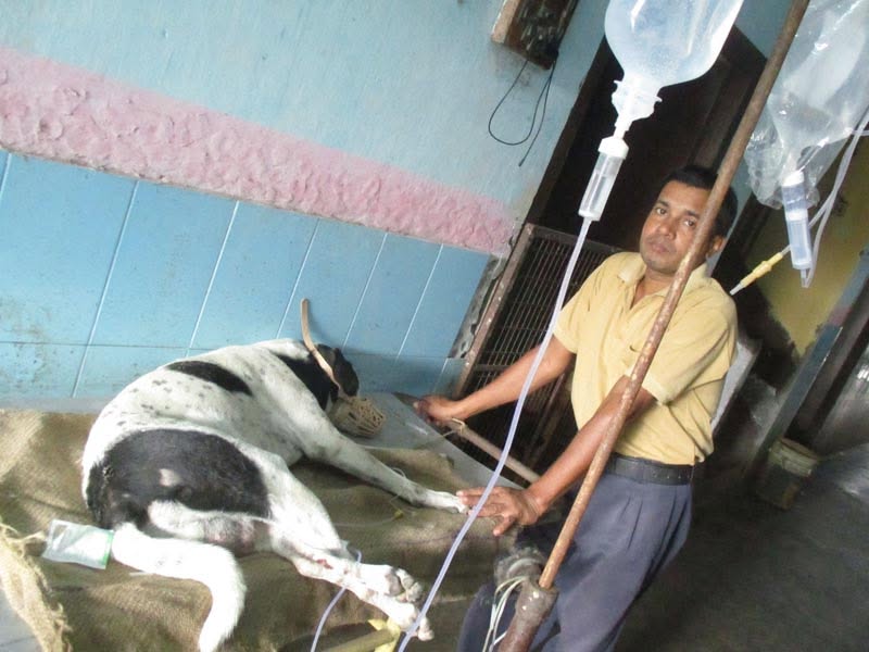 Sterilisation Camp